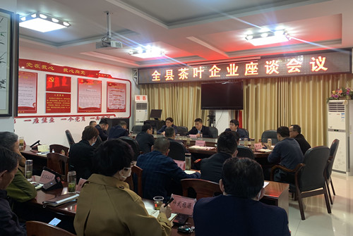 馬蘭起與全縣茶企代表座談 共商茶產業發展新思路