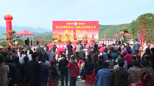 房縣詩雅茶旅項目正式投入運營