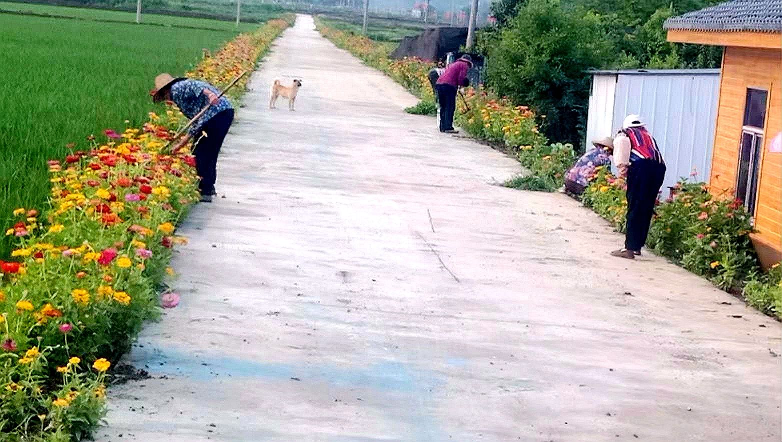 軍店鎮(zhèn)：“四好公路”繪就鄉(xiāng)村振興新畫卷