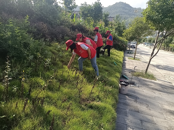 回龍全鄉上下齊發力 助力創建全國文明城