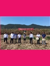 全市玉米機(jī)收“田間日”活動(dòng)在房縣舉行