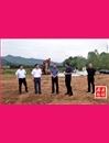 林云國到軍店化龍調研指導蔬菜產業和鄉村振興工作