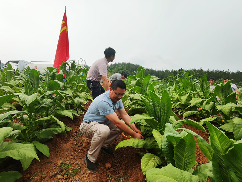 湖北房縣：創(chuàng)文建新功  美好永傳遞