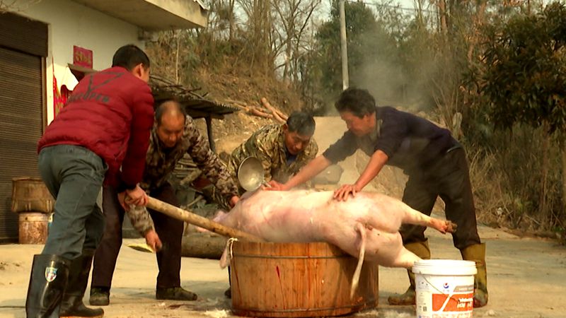 宋成芬：殺年豬 過(guò)大年
