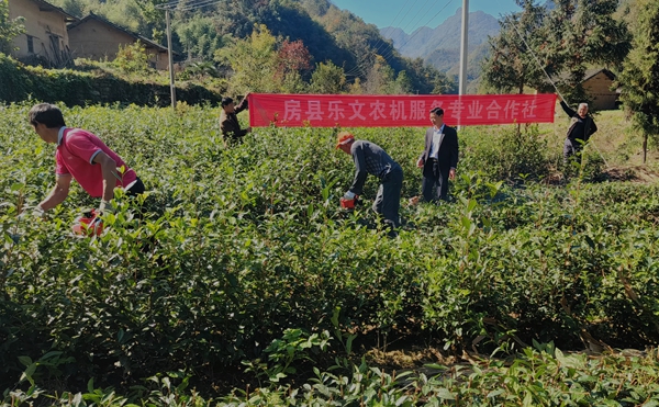 大木廠鎮(zhèn)：引進(jìn)社會(huì)化服務(wù)  助力產(chǎn)業(yè)發(fā)展