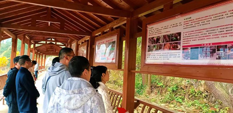 縣委黨校組織黨外干部開展 “追尋紅色足跡 傳承革命精神”研學活動