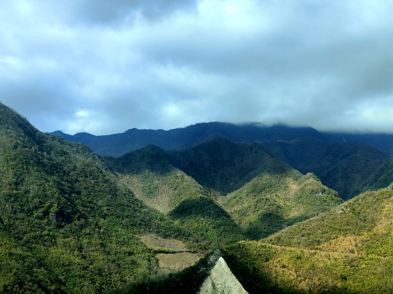 九道鄉塘坊埡村：羊肚菌撐起鄉村振興“致富傘”