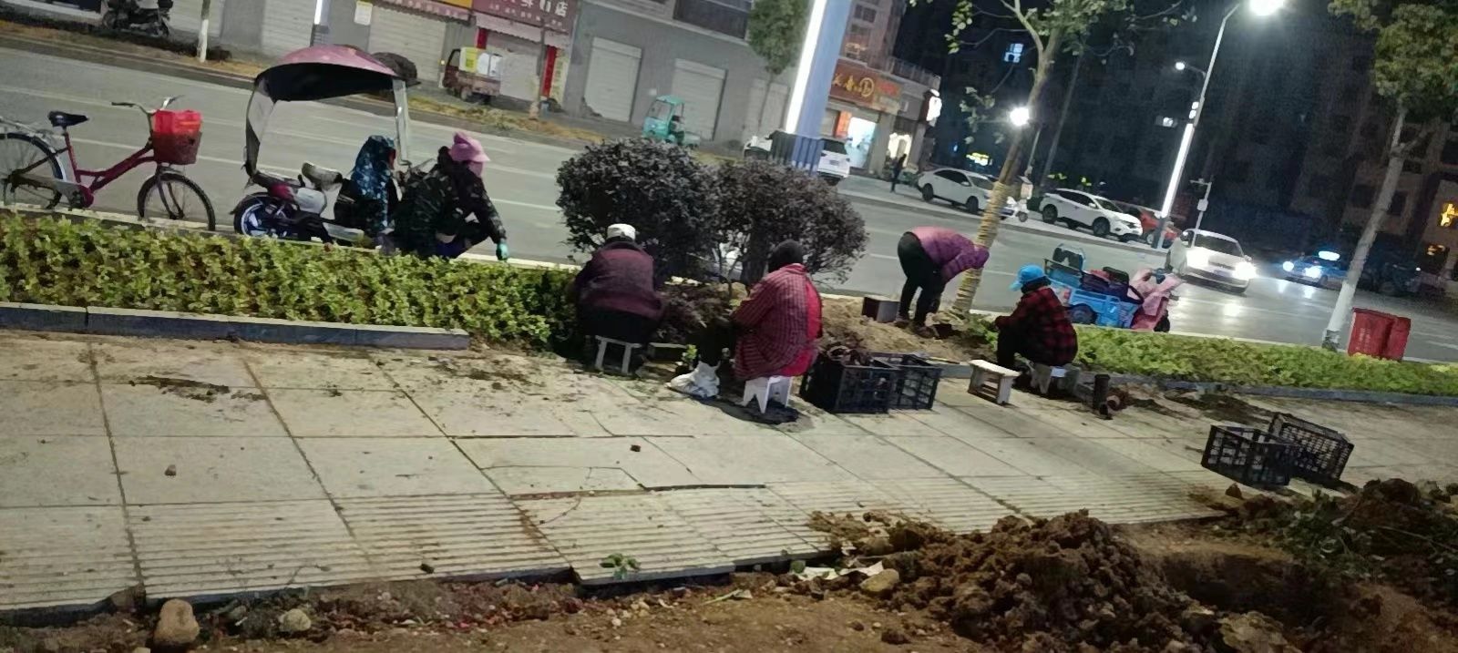 【能力作風(fēng)建設(shè)在行動】能力作風(fēng)建設(shè)在行動：縣住建局星夜鏖戰(zhàn)拉滿綠化建設(shè)“進(jìn)度條”