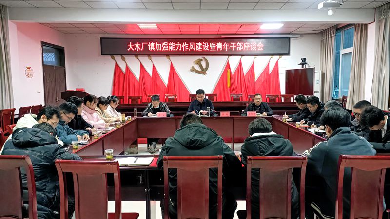 大木廠鎮召開加強能力作風建設暨青年干部座談會