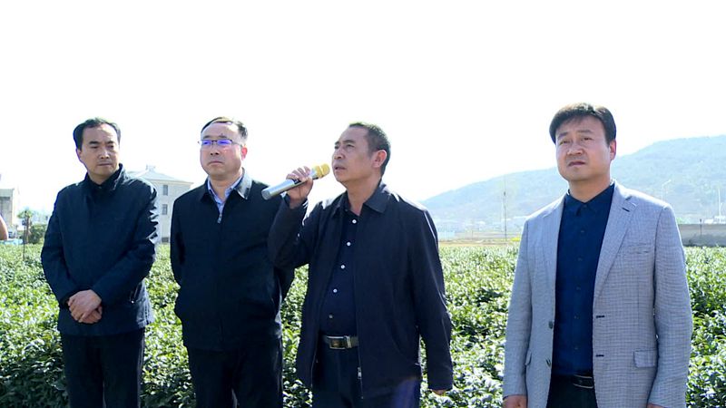 縣農機服務中心：召開茶園管理抗旱現場會