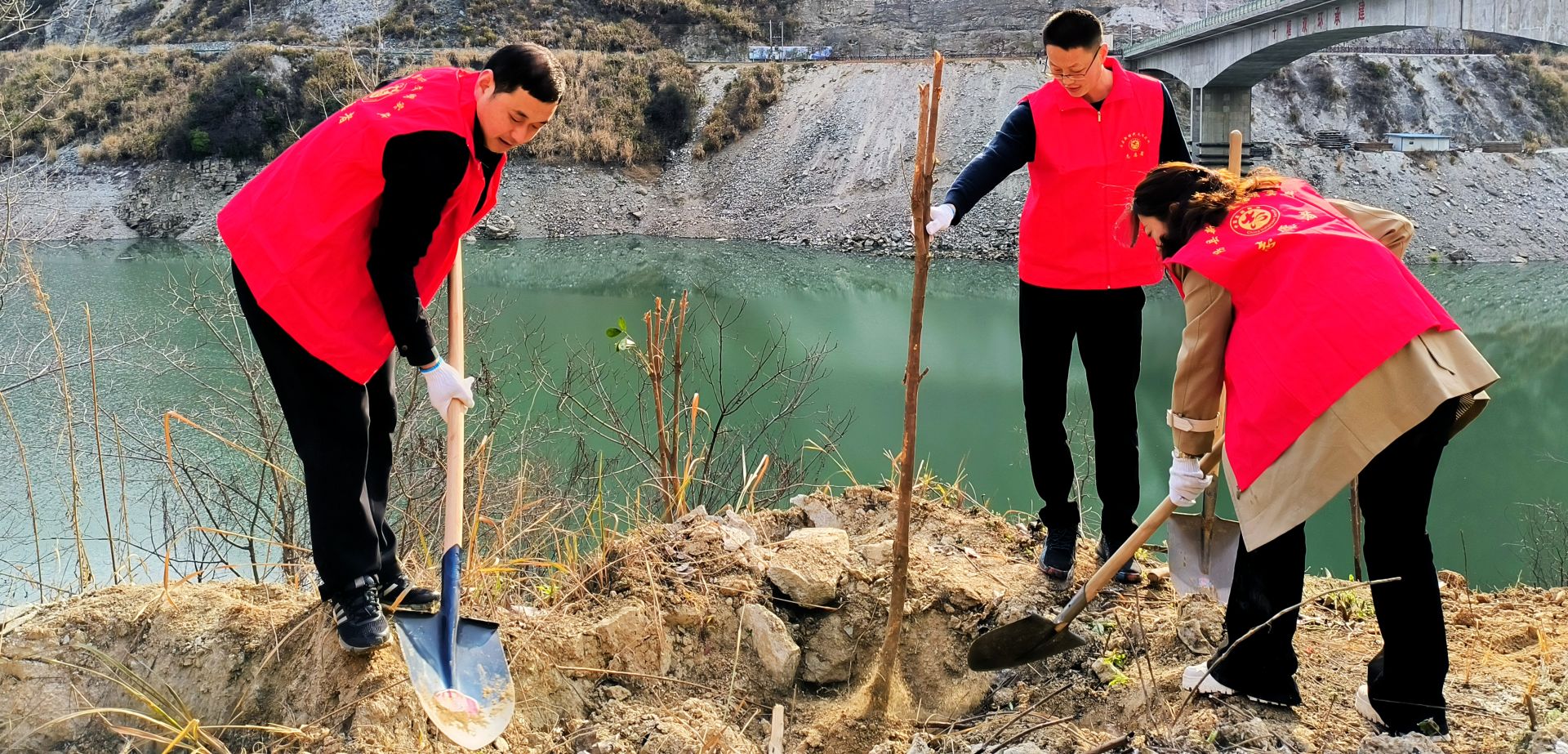 房縣姚坪鄉：“綠滿堵河”植樹增綠在行動