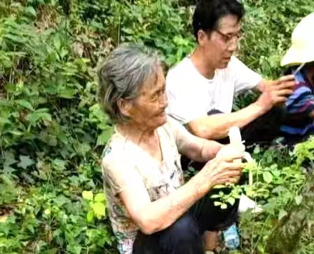土城鎮：七旬老人午夜走丟，各方助力終于找回