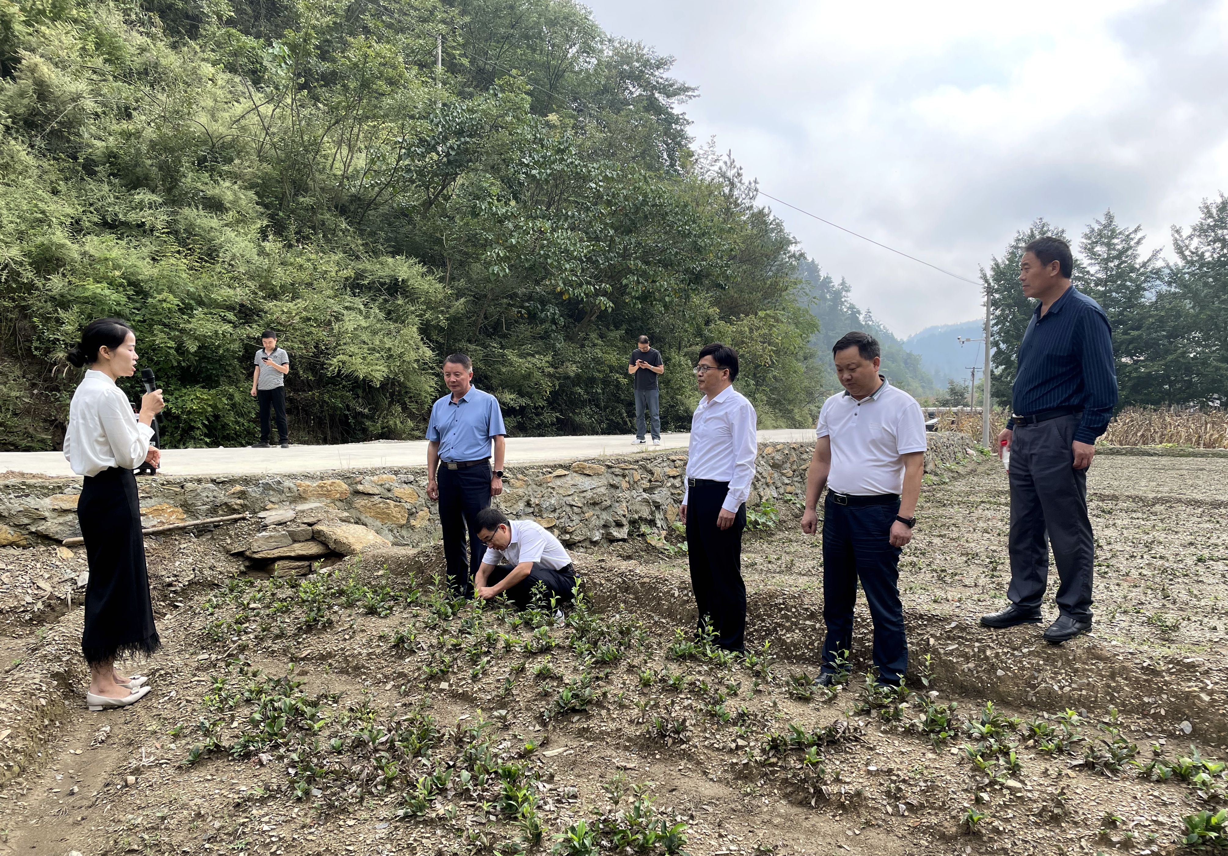 縣政協(xié)專題視察鄉(xiāng)村振興示范村建設(shè)工作