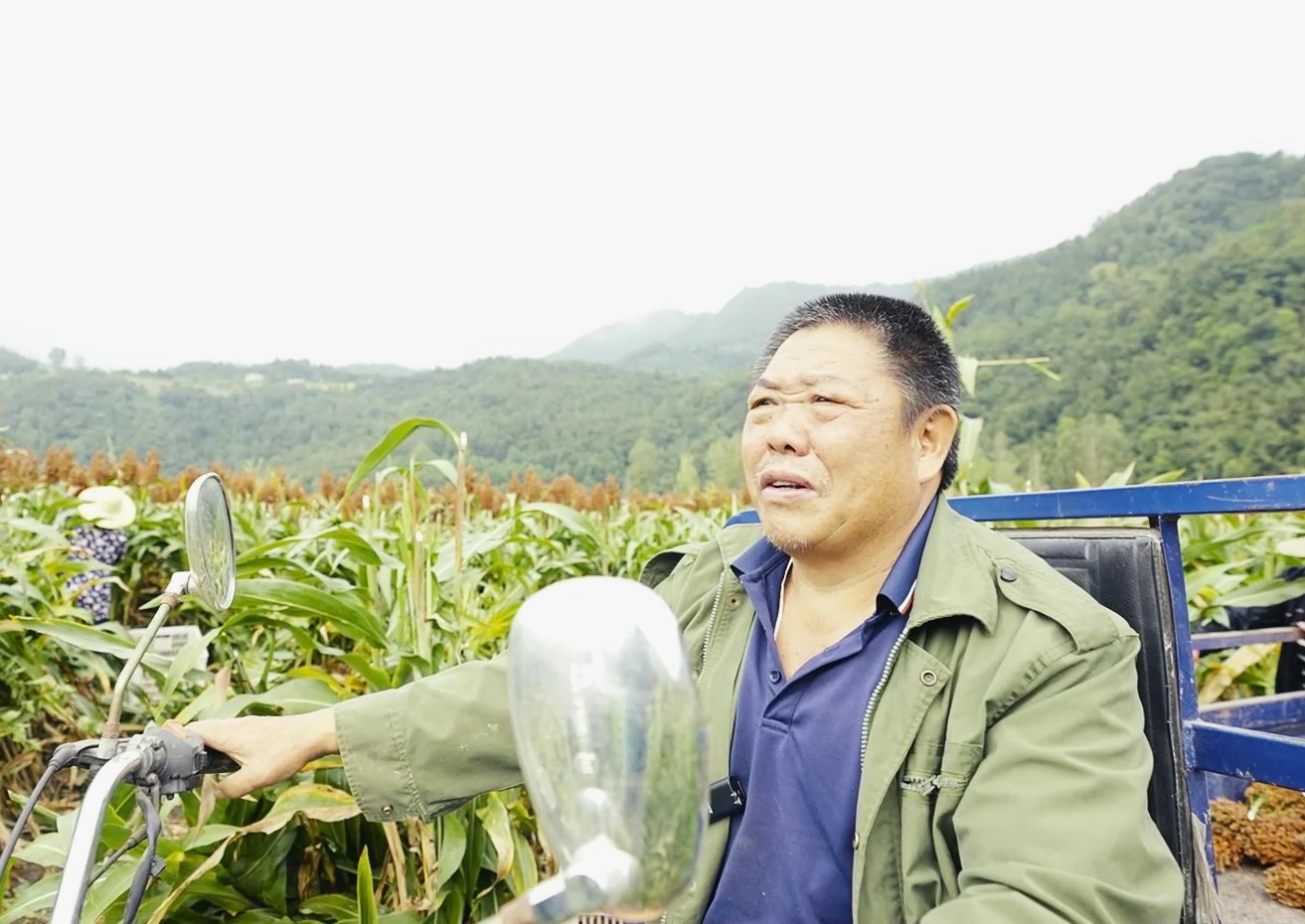 農(nóng)戶徐伯府.jpg