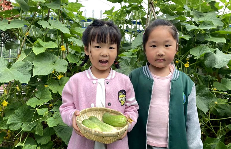 門古寺鎮(zhèn)中心幼兒園：走進(jìn)共享菜園  體驗(yàn)勞動(dòng)之樂