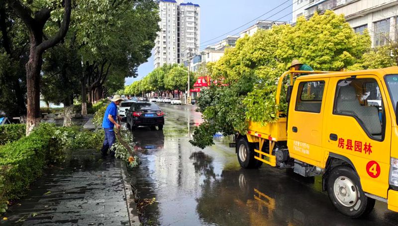 縣住建局：扶正倒伏樹木 扮靚城市環境
