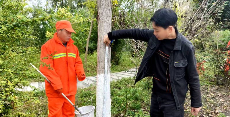房縣公路養護中心給秋季路樹穿“新衣”