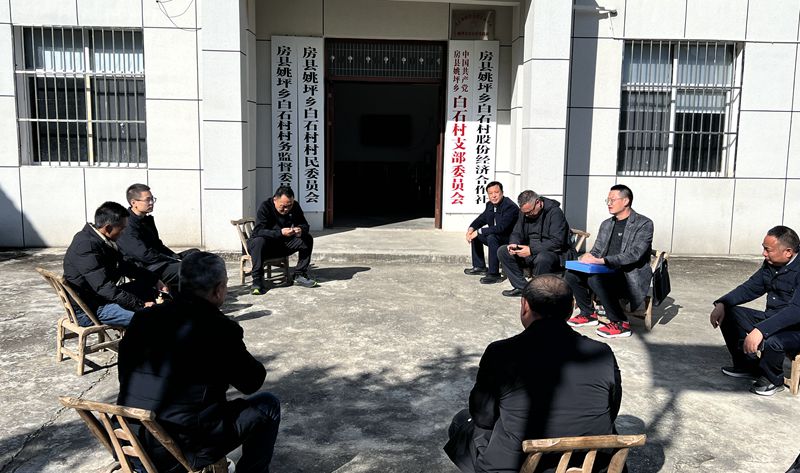 鑫茂集團開展“黨的二十屆四中全會精神宣講”暨“四百活動”