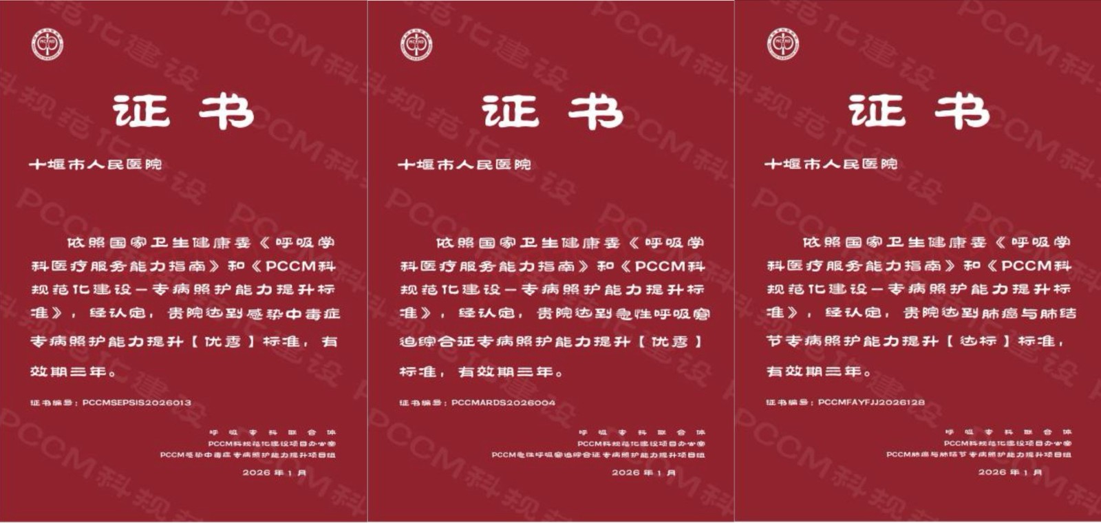 十堰人醫呼吸與危重癥醫學科斬獲國家級榮譽